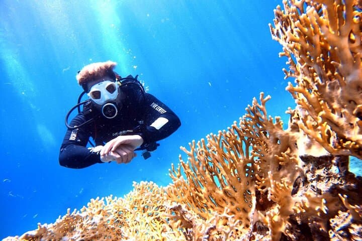 Private Red Sea Diving Experience in Aqaba — Reefs, Wrecks & Underwater Photo photo 3