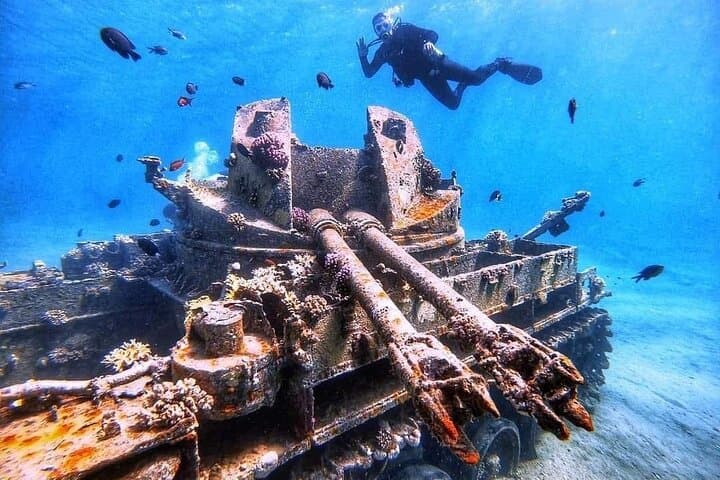 Private Red Sea Diving Experience in Aqaba — Reefs, Wrecks & Underwater Photo photo 5