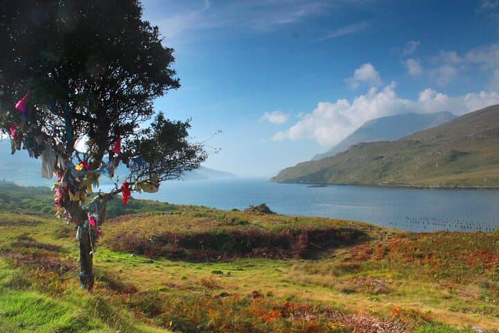 Connemara Day Trip: Kylemore Abbey, Leenane & Killary Harbour from Galway photo 6