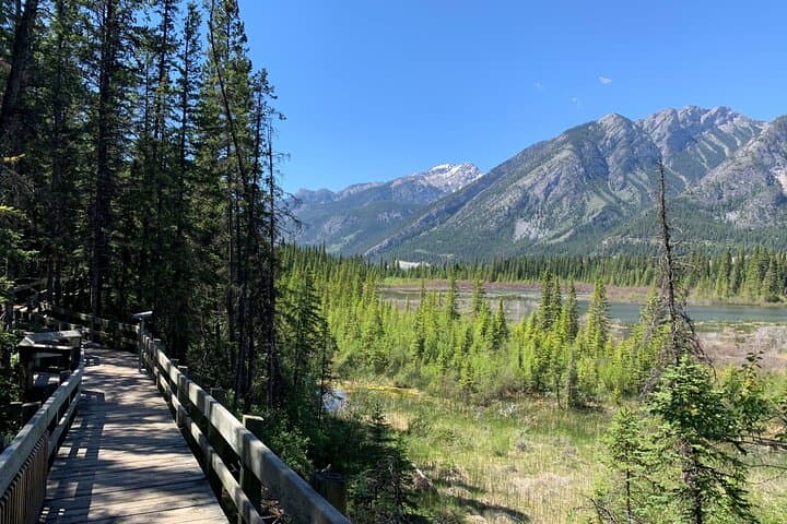 Banff Lost Towns Walking Tour: Coal-Era Ruins & Untold Stories photo 3