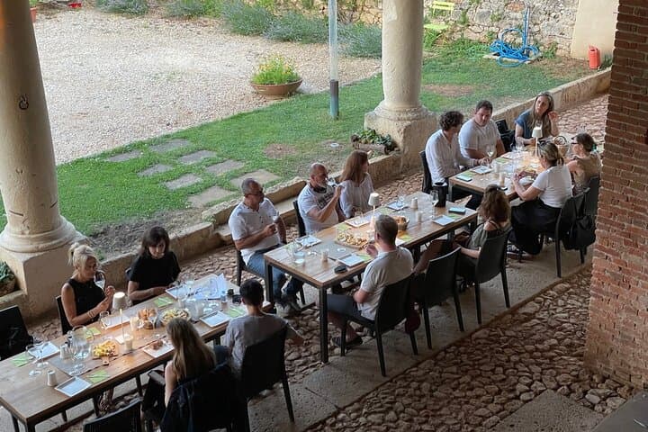 Prosecco & Classic-Method Sparkling Wine Tour from Verona — Colli Berici Tastings