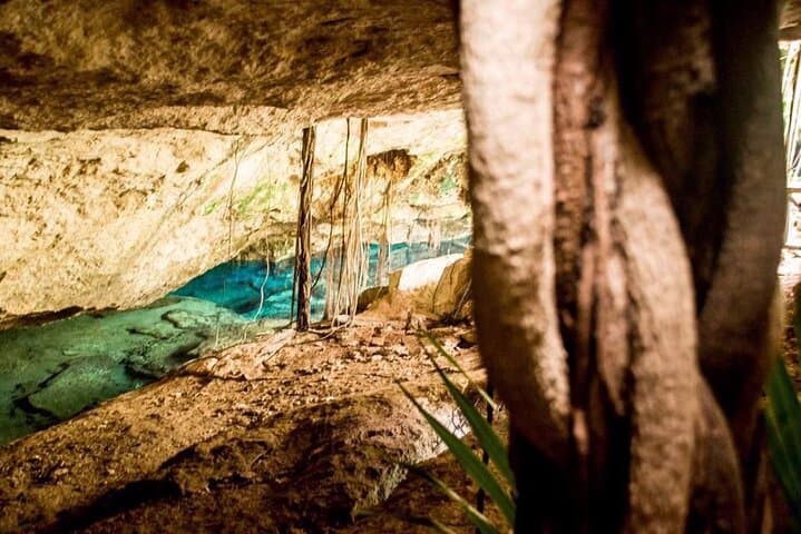 Explore Chikin Ha Cenotes: Snorkel Three Unique Sinkholes Near Playa del Carmen photo 1