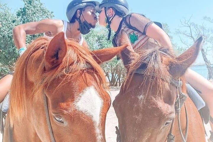 Montego Bay Horseback Beach Ride: Coastal Trail & Cultural Tour photo 2