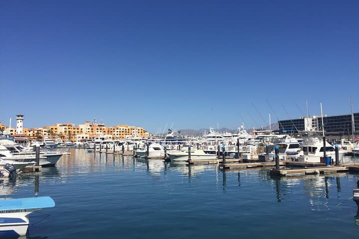 Cabo San Lucas Combo Tour: Arch, Chileno Bay Snorkel & Tequila Tasting photo 6