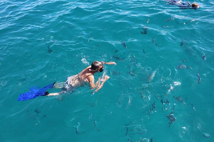 All-Inclusive Cabo San Lucas Snorkel Catamaran to Chileno Bay photo 1