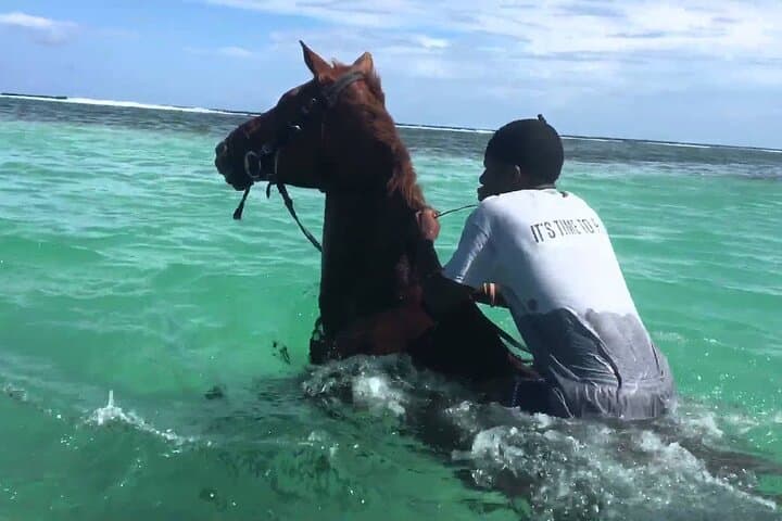 Martha Brae Rafting, Braco Beach Horseback Ride & Luminous Lagoon: Montego Bay Triple Treat