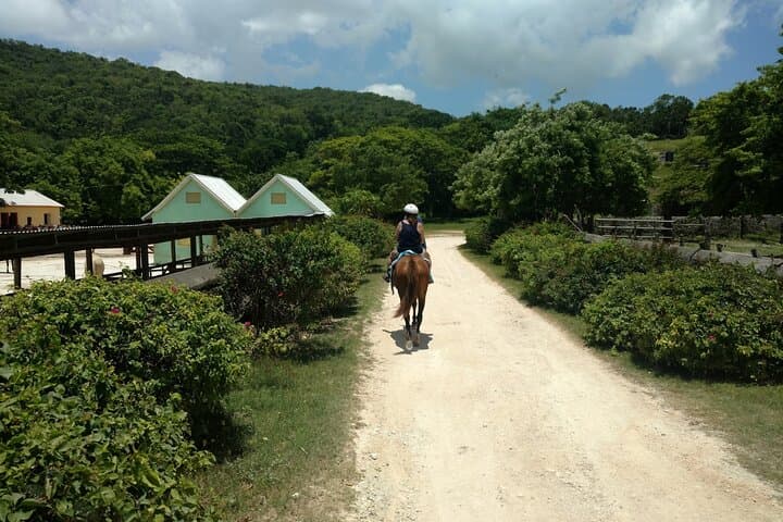 Martha Brae Rafting, Braco Beach Horseback Ride & Luminous Lagoon: Montego Bay Triple Treat photo 4