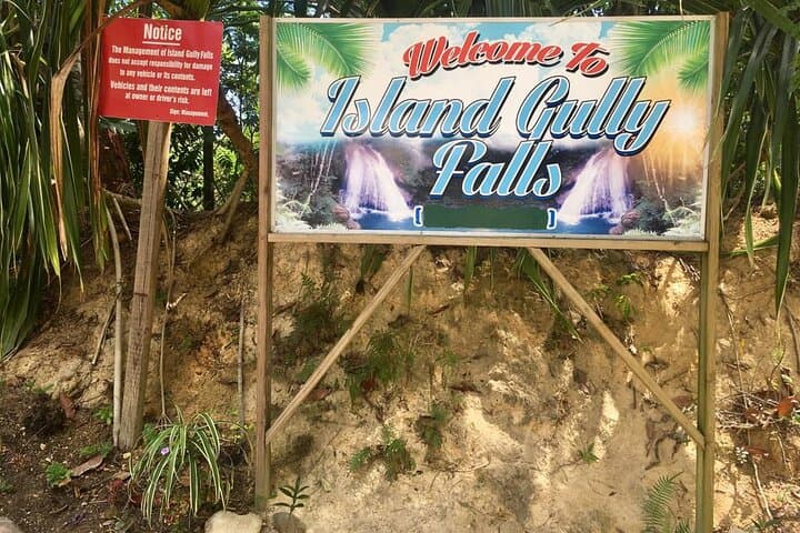 Montego Bay to Dunn's River, Blue Hole & Luminous Lagoon: Day Trip Adventure photo 5