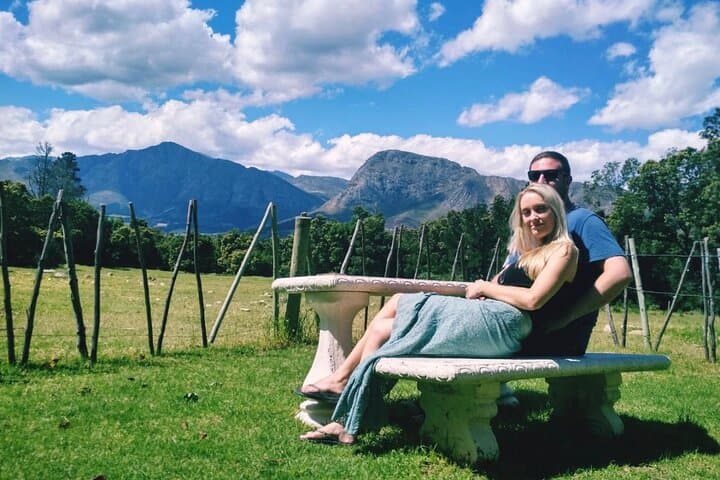 Cape Peninsula & Wine Lands Full-Day Private Tour — Cape Point, Penguins & Chapman's Peak photo 2