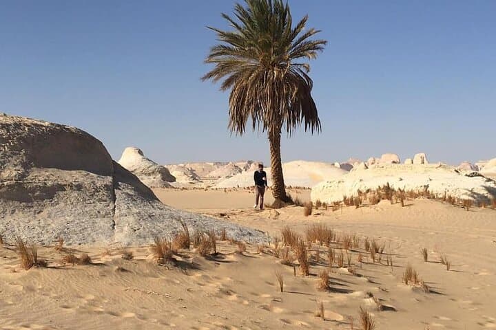 Overnight Camping in Egypt's White & Black Desert: 2-Day Trip from Cairo photo 5