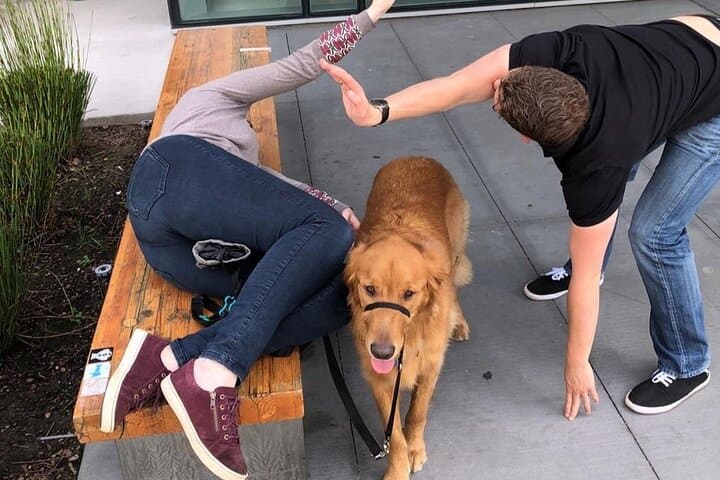 Anaheim Urban Scavenger Hunt — Wacky Walks Interactive City Game photo 6