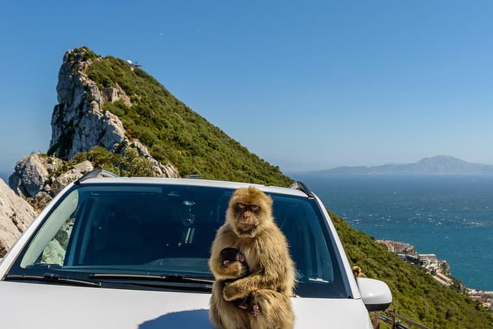 Gibraltar Full-Day Ultimate Tour — Rock of Gibraltar, Apes & WWII Tunnels photo 2
