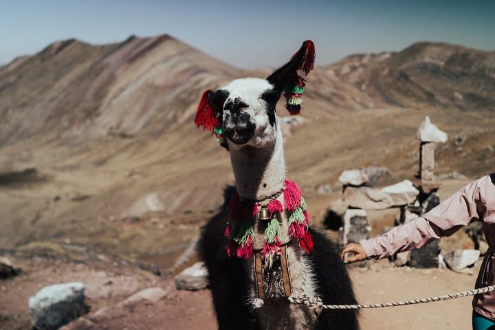 3-Day Cusco: Sacred Valley, Machu Picchu & Rainbow Mountain Early-Access Tour photo 4