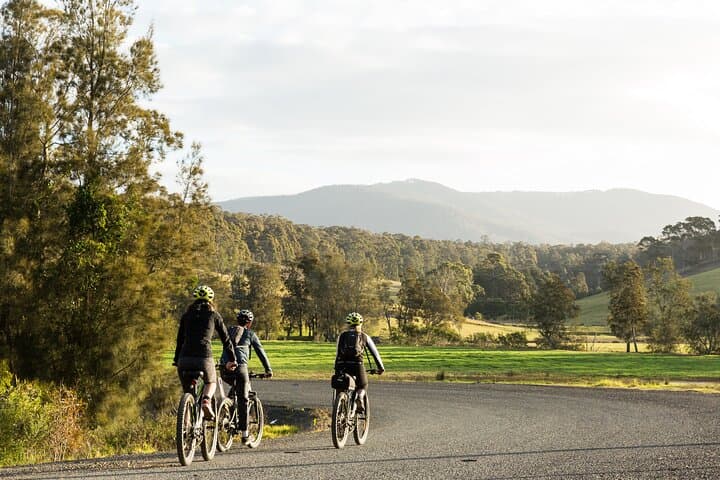 Narooma Coast on Two Wheels: 2-Hour E‑Bike Rental & Scenic Cycle Track photo 6