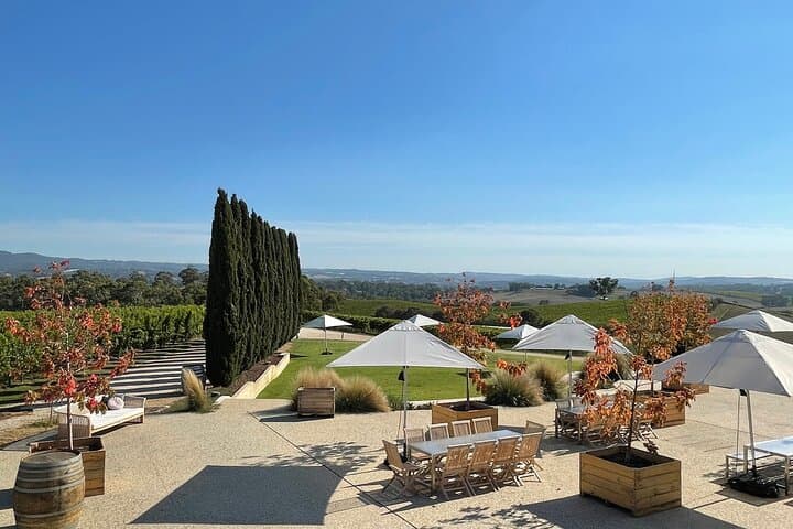Adelaide Hills & Hahndorf Half-Day Private Tour — Mt Lofty Views, Chocolate, Cheese & Beerenberg photo 2