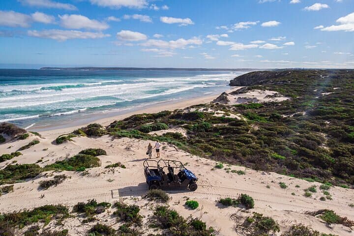 Little Sahara Buggy Tour — Kangaroo Island Vivonne Bay Coastal Dunes Adventure