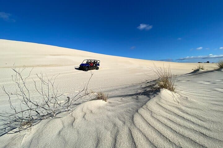 Little Sahara Buggy Tour — Kangaroo Island Vivonne Bay Coastal Dunes Adventure photo 3