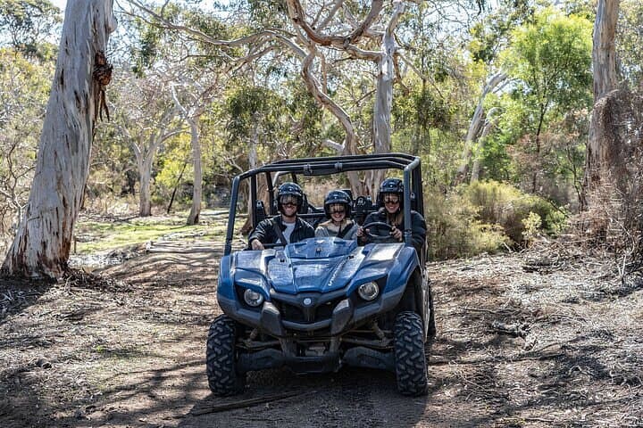 Little Sahara Buggy Tour — Kangaroo Island Vivonne Bay Coastal Dunes Adventure photo 4