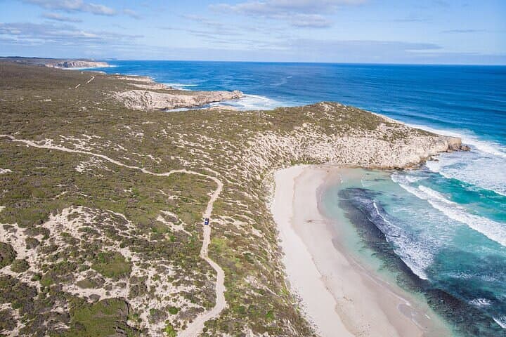 Little Sahara Buggy Tour — Kangaroo Island Vivonne Bay Coastal Dunes Adventure photo 5