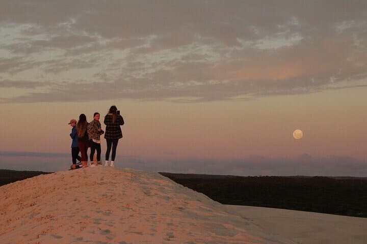 After-Hours Koala Walk at Little Sahara — Evening Bushwalk on Kangaroo Island photo 3