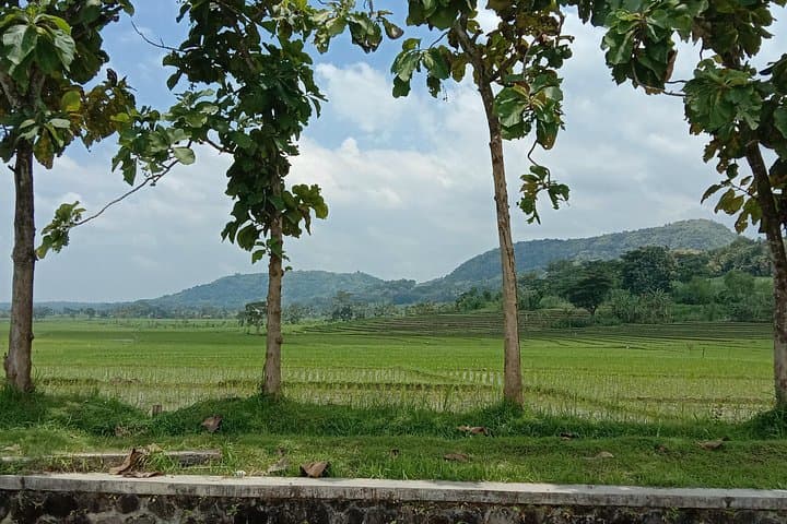 Cycling Village Tour Kulonprogo — Menoreh Hills Rice-Field Ride photo 4