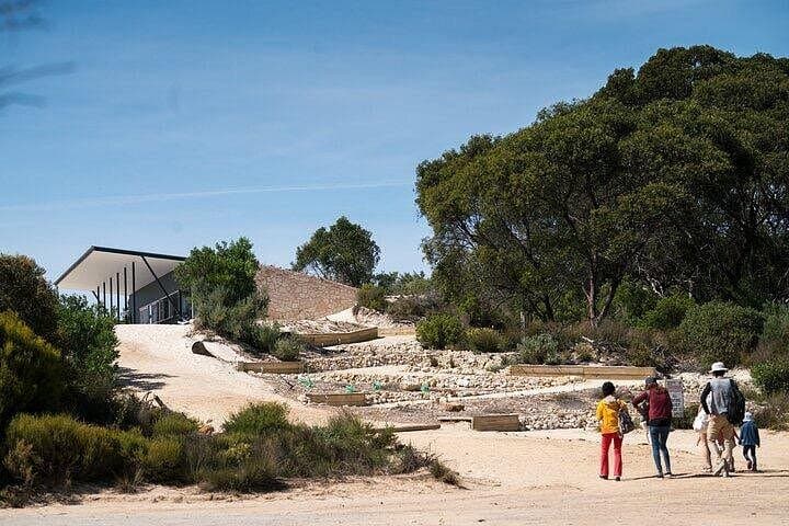 Koala Walking Tour at Little Sahara and Gum Forests, Kangaroo Island photo 4