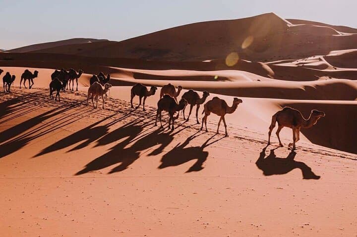8-Day Morocco Desert and Imperial Cities Tour from Casablanca photo 3