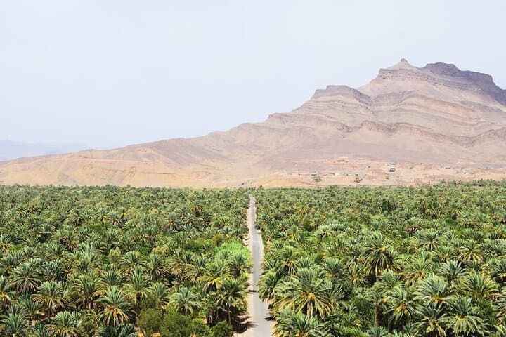 Overnight Desert Tour from Marrakech to Zagora: 2-Day Sahara Camp & Camel Trek photo 2