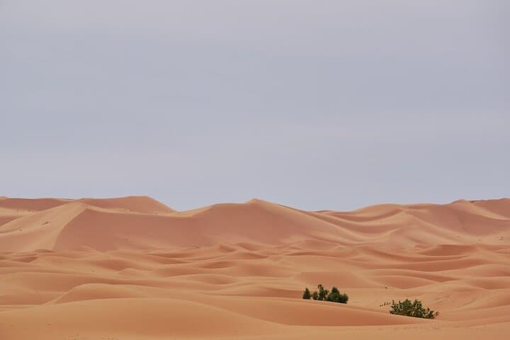 Marrakech to Merzouga: 3-Day Erg Chebbi Desert Tour Guide photo 4