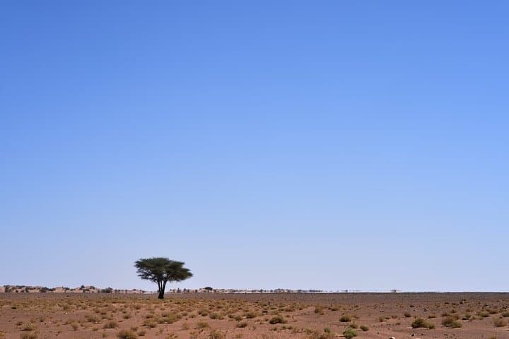 3-Day Sahara Desert Tour from Marrakech to Fes — Camel Dunes, Luxury Camps & Atlas Passes photo 6