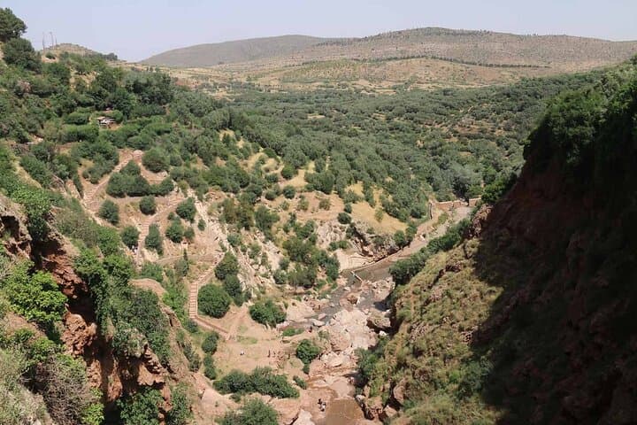 Ouzoud Waterfalls Day Trip from Marrakech — Hike Olive Groves, Swim & See Monkeys photo 6