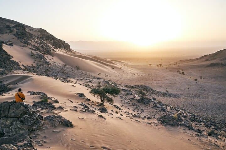 Overnight Desert Tour from Marrakech to Zagora: 2-Day Sahara Camp & Camel Trek photo 6