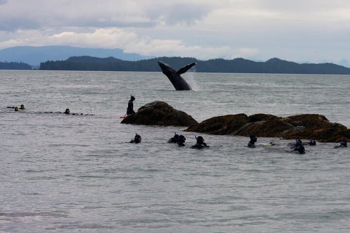 Snorkel Alaska: Mountain Point Cold‑Water Snorkeling Adventure in Ketchikan photo 5
