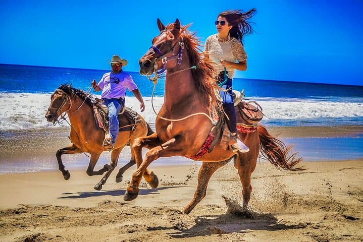Cabo Desert to Migriño Beach: UTV & Horseback Coastal Combo photo 2