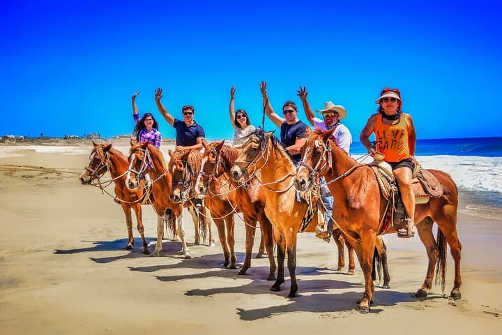 Cabo Desert to Migriño Beach: UTV & Horseback Coastal Combo photo 4