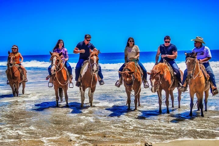 Cabo Desert to Migriño Beach: UTV & Horseback Coastal Combo photo 6