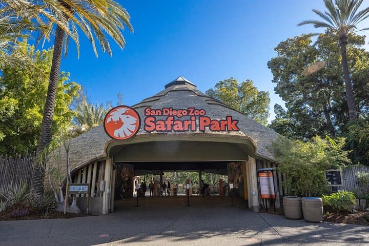 Inside San Diego Zoo Safari Park: One-Day Pass Guide & Practical Tips