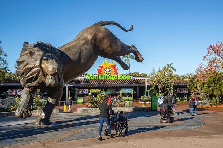 San Diego Zoo One-Day Pass — Explore Wildlife & Botanical Gardens in Balboa Park photo 2