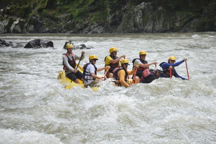 Pacuare River Whitewater Rafting: Full-Day Jungle Run from San José