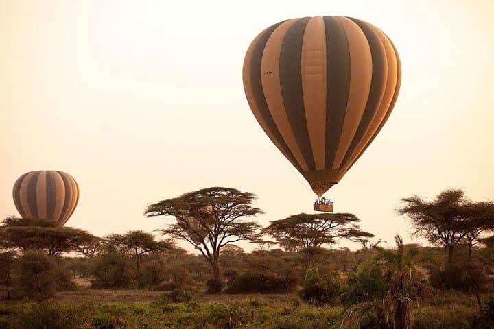 Serengeti Hot Air Balloon Safari Over Maasai Kopjes photo 4