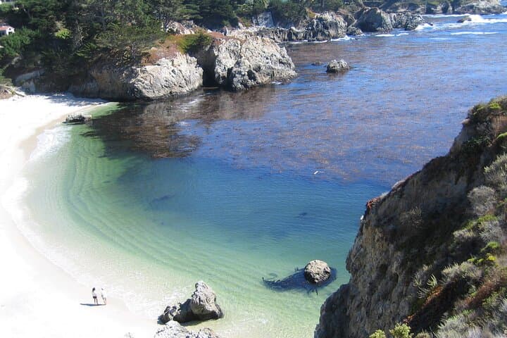 Explore Point Lobos: Guided 2-Hour Nature Walk Through Coastal Wilderness photo 2