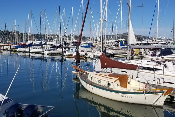 Muir Woods & Marin Headlands Private Day Tour from San Francisco