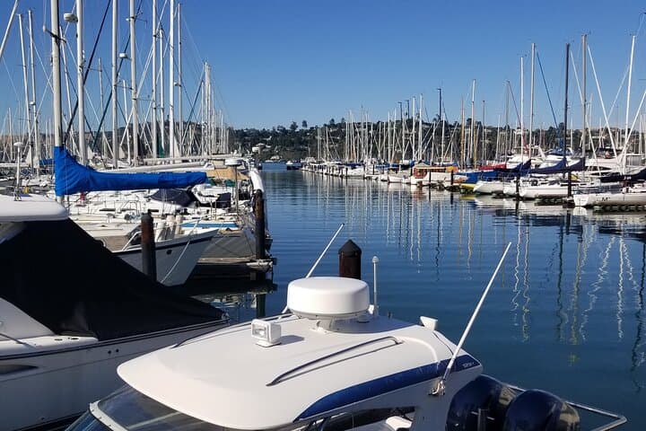 Muir Woods & Marin Headlands Private Day Tour from San Francisco photo 2