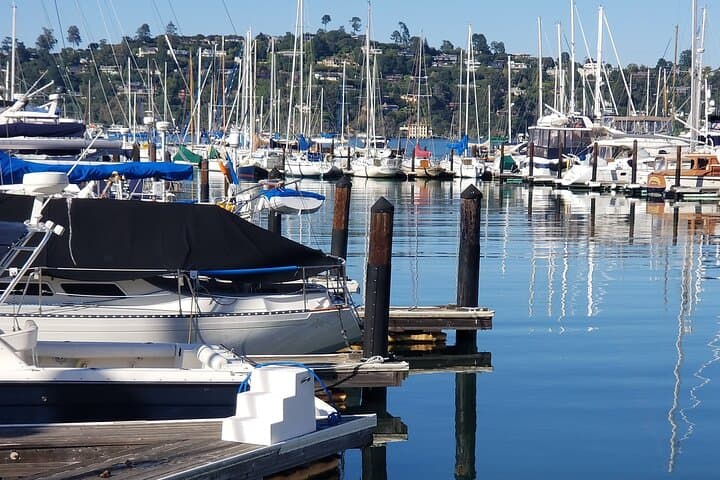 Muir Woods & Marin Headlands Private Day Tour from San Francisco photo 3
