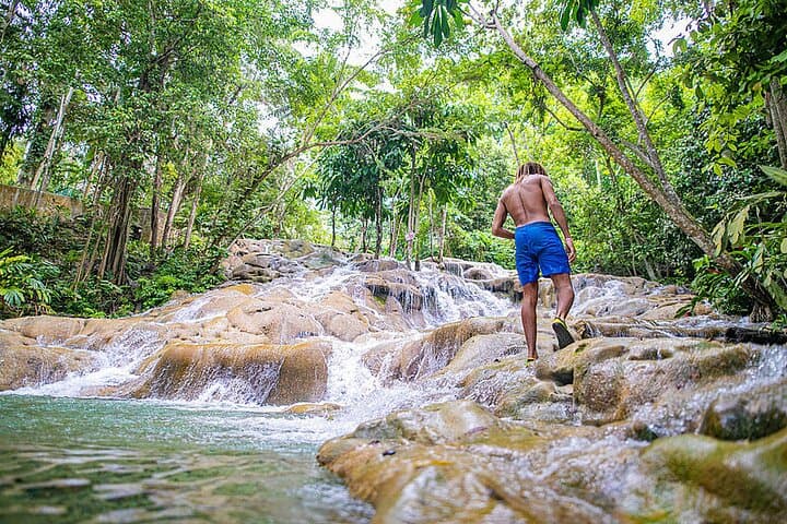 Private Ocho Rios Tour: Dunn's River Falls Climb & Scotchies Lunch