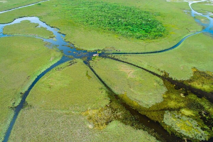 Everglades 60-Minute Airboat Ride from Miami — Small Group with Pro Guide photo 5