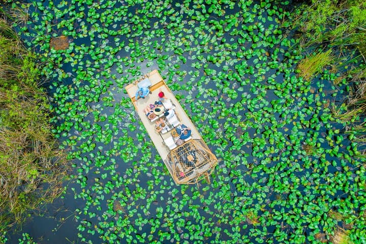 Everglades 60-Minute Airboat Ride from Miami — Small Group with Pro Guide photo 4