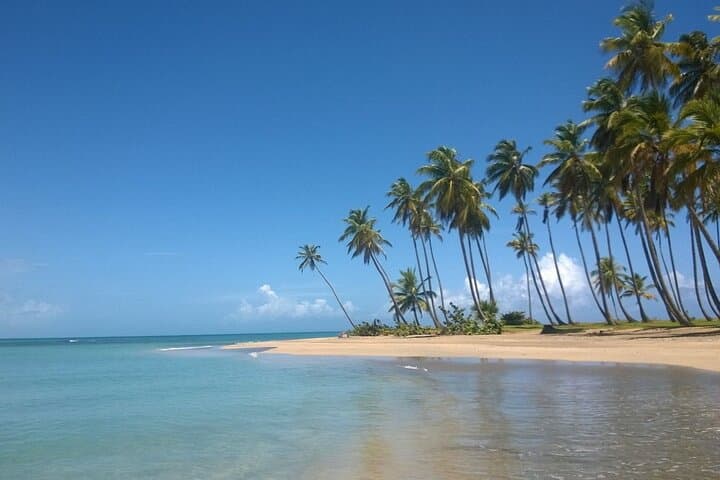 Montana Redonda and Playa Esmeralda Day Tour from Punta Cana photo 6