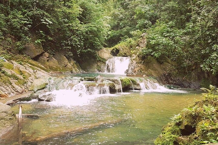 Aripo Waterfall Adventure: Swim the Turquoise Pools in Trinidad’s Northern Range