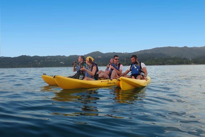 Playa Samara Ocean Kayak and Snorkeling: Paddle to Isla Chora for Snorkeling photo 4